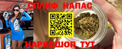 молекула духа Донецк