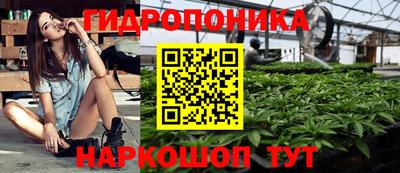молекула духа Донской